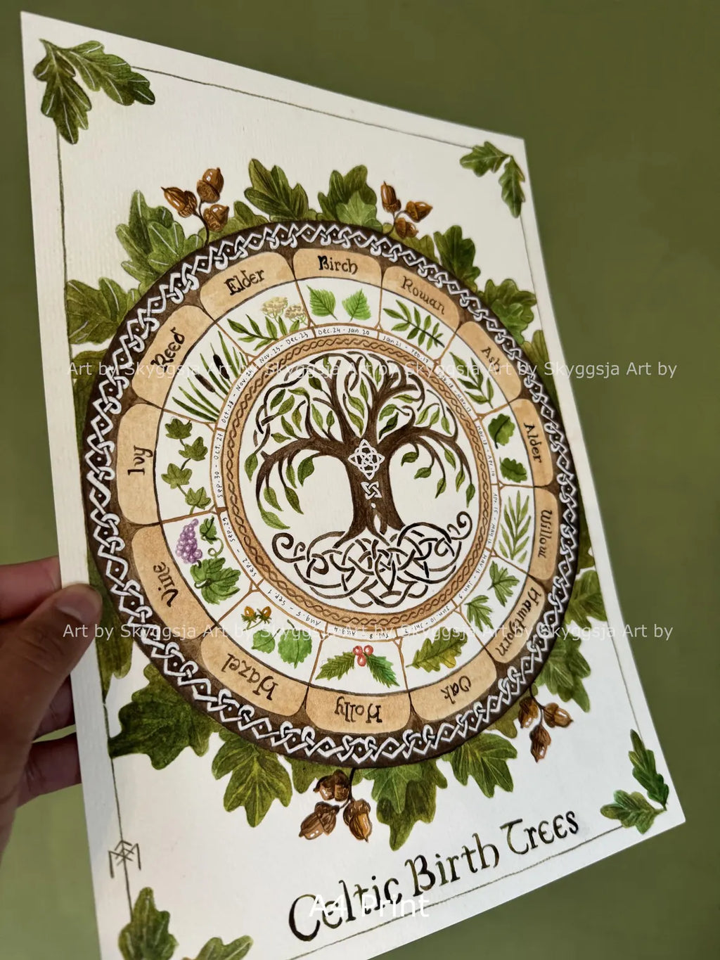 Celtic Tree Circle