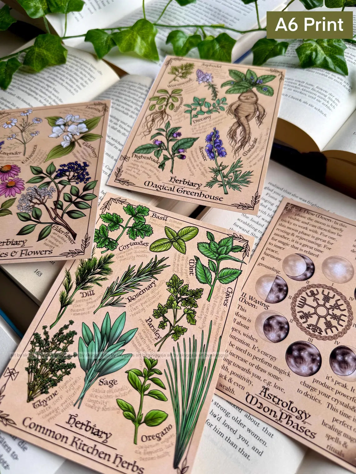 Hexenbuch Mini-Drucke : 4er Set