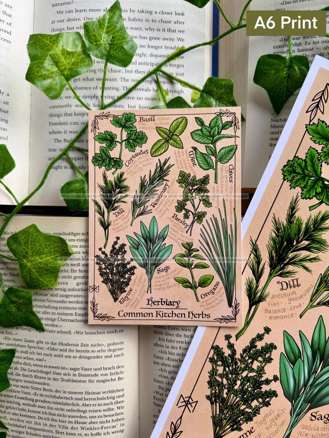 Herbiary - Kitchen Herbs